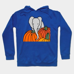 Elephant and Halloween Pumpkins Hoodie